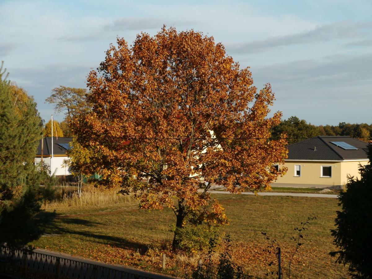 Apartment Im Neubauernweg 3 Hoppegarten